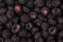 Blk Raspberry Fragrance Spray